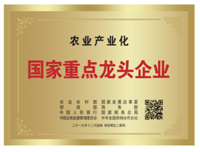 榮譽(yù)證書